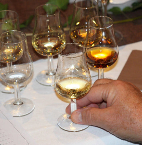 Hand hält gefülltes Whisky-Nosingglas