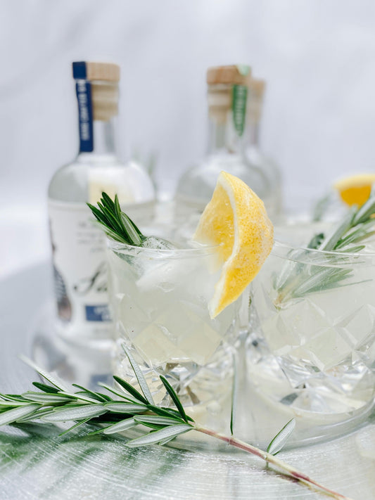 gin gin-tonic